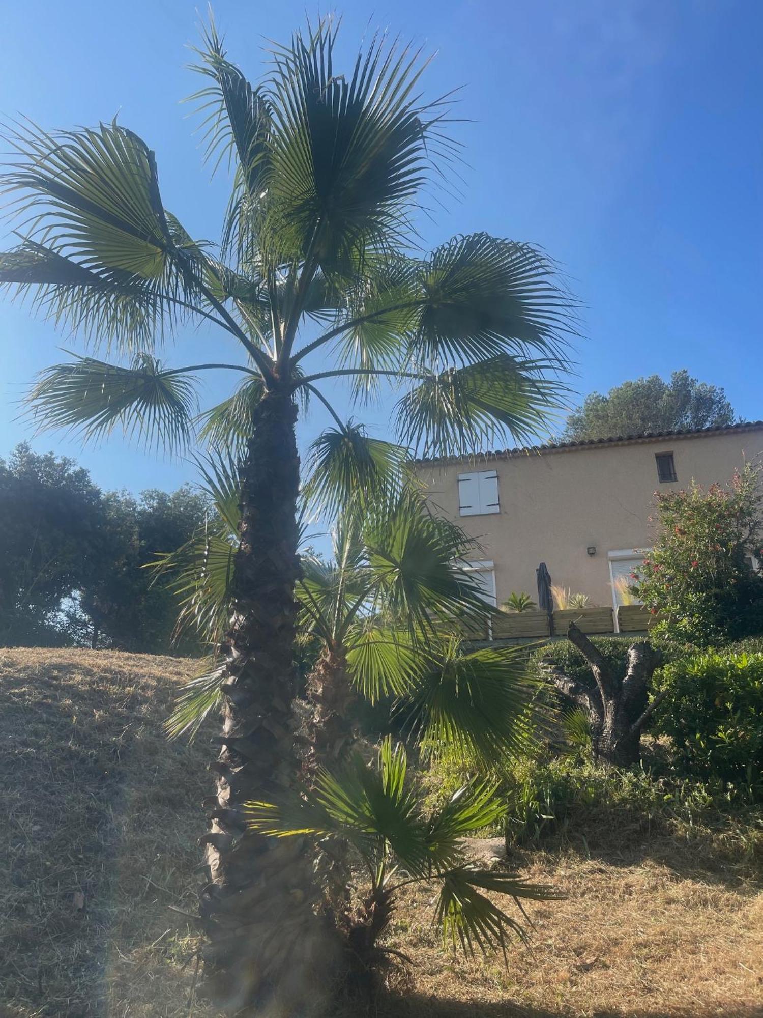 Villa Le Val D'escure Saint-Raphael (Var)